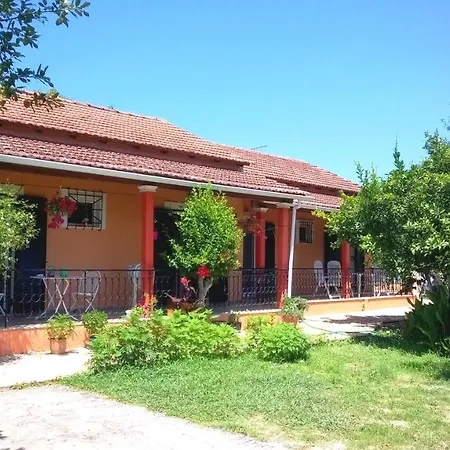 Kiki House *